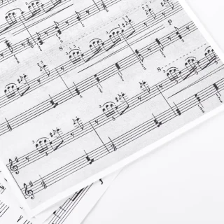 music-sheets-on-white-background-2026-01-05-01-07-51-utc 1